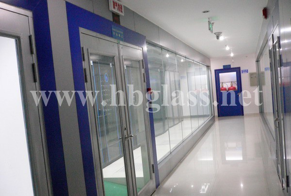 Ground Spring Fireproof Glass Door